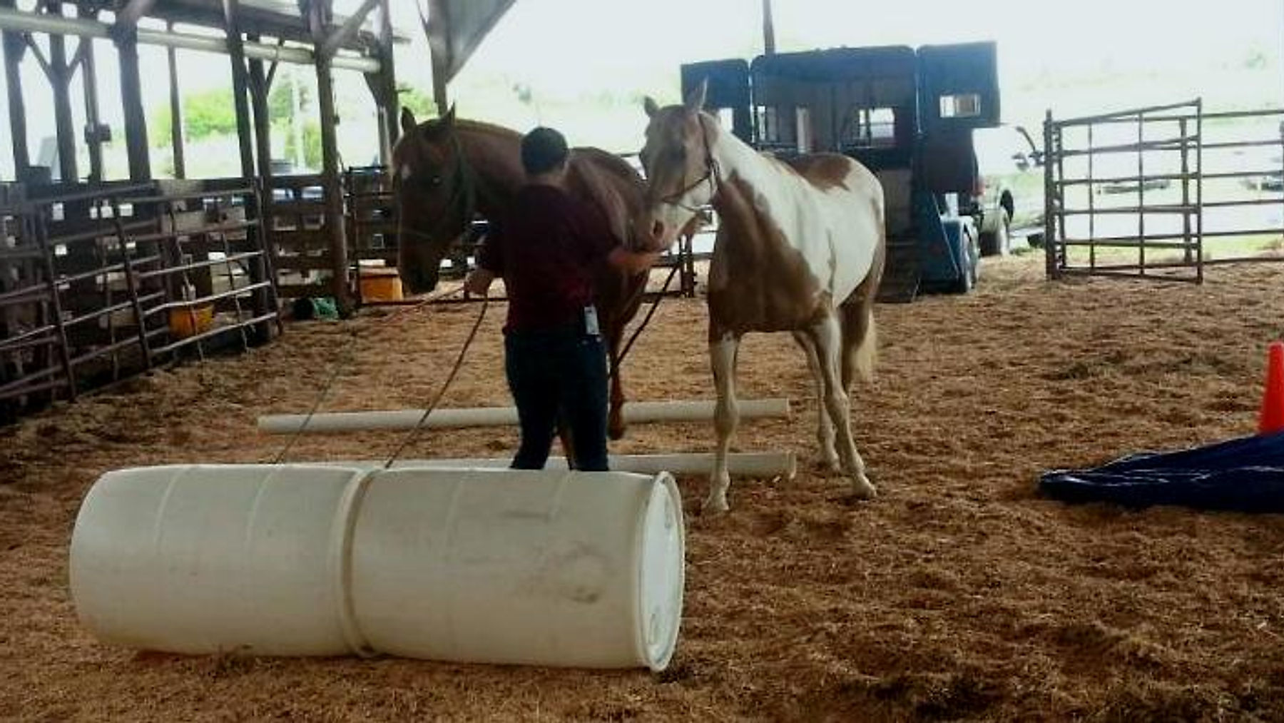 Piedmont Expo Demo Clips - Learn to Use Obstacles to Build Confidence & Motivation in Your Horse!